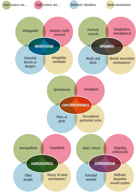 MBTI & Big 5 and Intelligence – Typology Triad